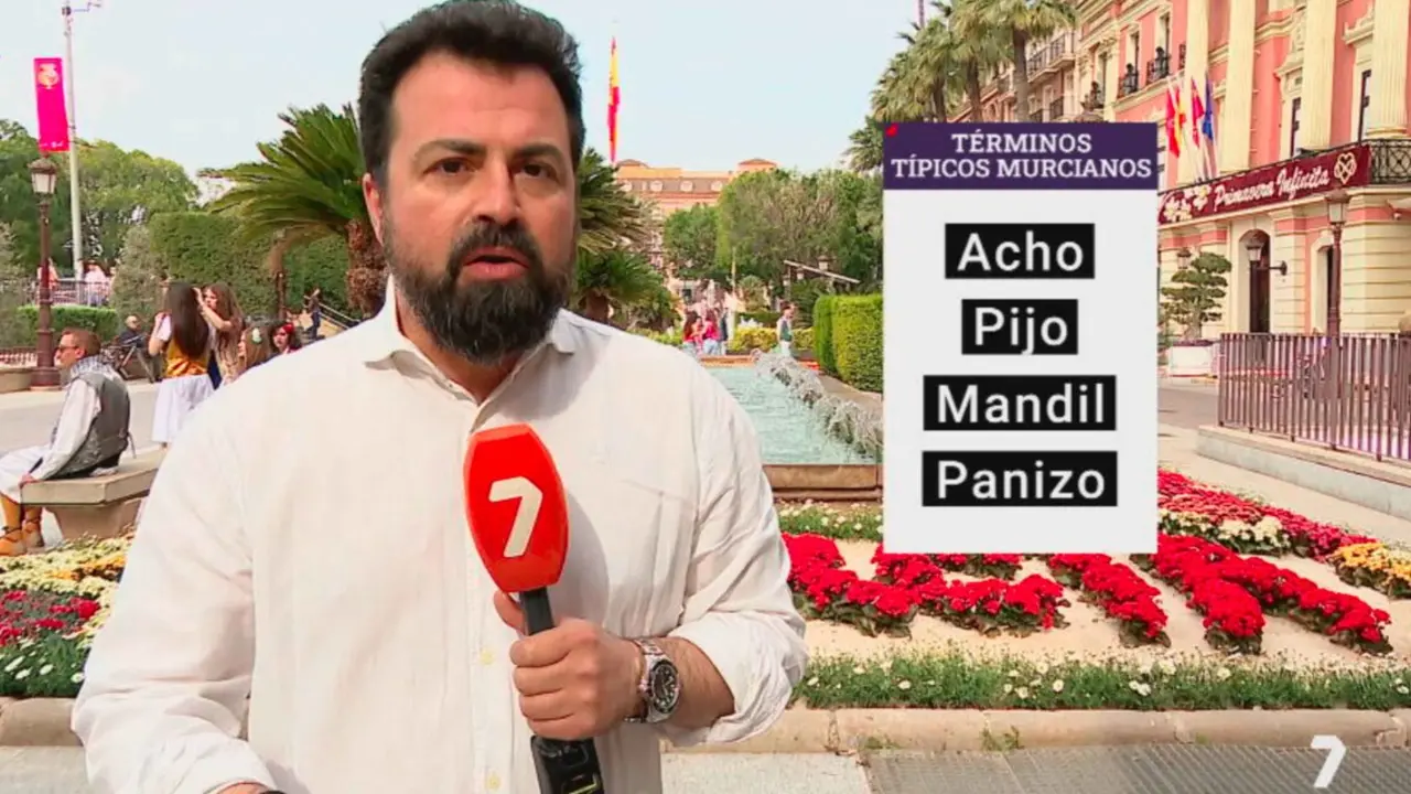 Diccionario de t&eacute;rminos murcianos