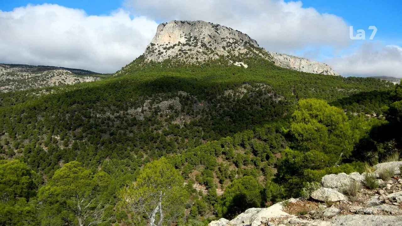 Vista desde el sur del Morr&oacute;n de Espu&ntilde;a que es la monta&ntilde;a m&aacute;s alta de Sierra Espu&ntilde;a (Wikipedia)