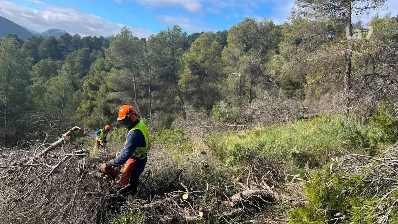 Operarios ejecutando actuaciones de emergencia en los montes de Ricote.
