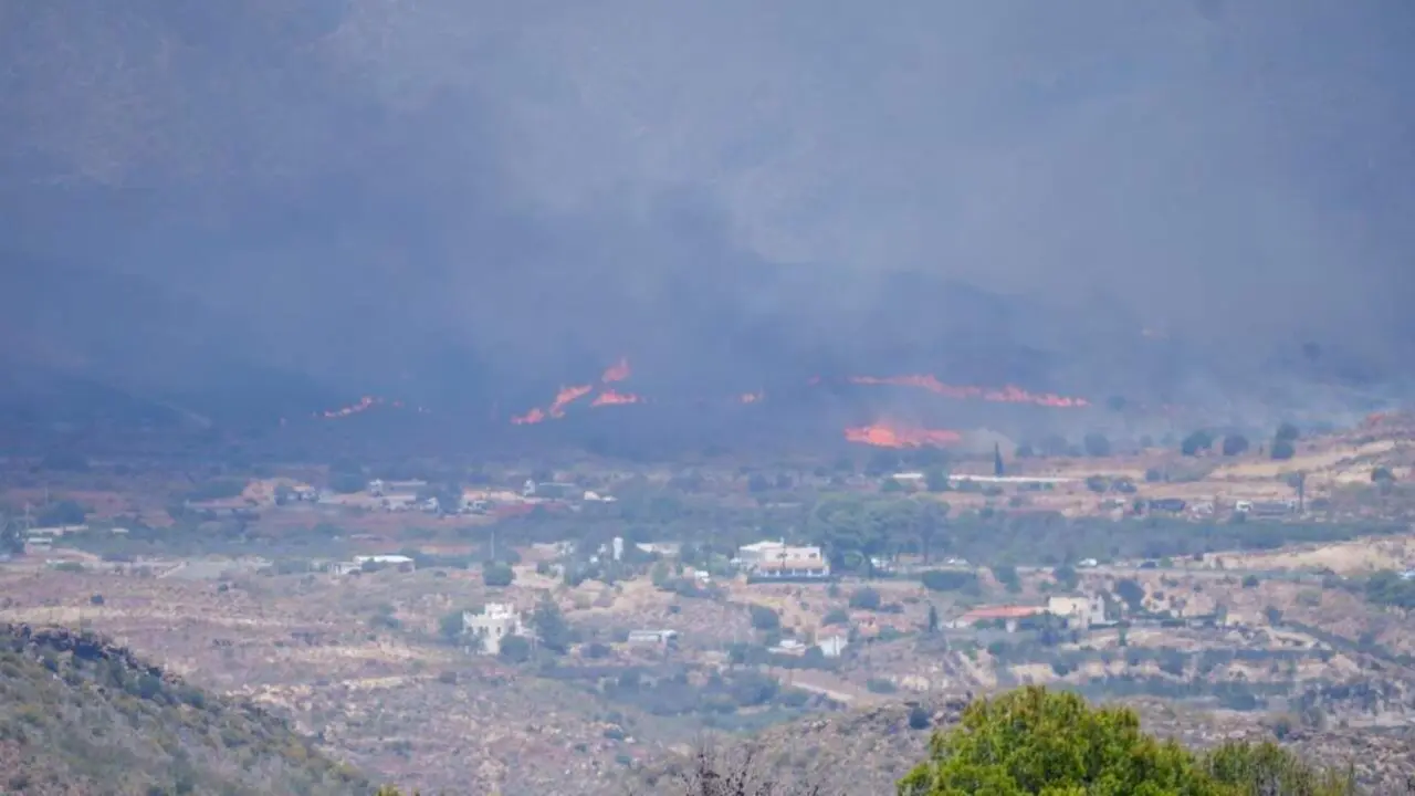 Al menos 12 fallecidos y 23 desaparecidos por el incendio forestal en el municipio almeriense de Los Gallardos (foto: EP)