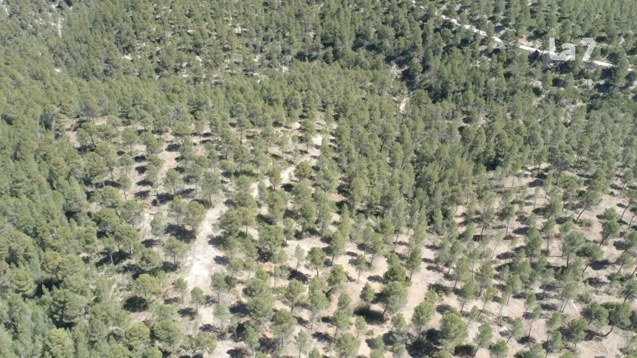 Sierra de Lavia, en el municipio de Ceheg&iacute;n