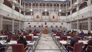 Imagen del Pleno de la Asamblea Regional FOTO: ASAMBLEA REGIONAL