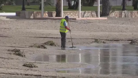 Retiran 17.000 toneladas de ova del Mar Menor