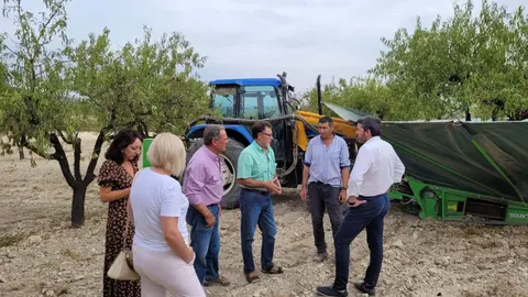 El consejero Antonio Luengo, durante su visita a una finca de almendros en el municipio de Bullas con ocasi&oacute;n de la cosecha de almendra (Foto: CARM)