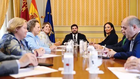 L&oacute;pez Miras preside una reuni&oacute;n para analizar los avances en este proyecto (Foto: CARM)