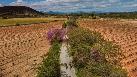 V&iacute;a verde del Noroeste (Foto: CARM)