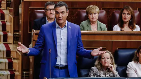 El presidente del Gobierno, Pedro S&aacute;nchez, interviene durante una sesi&oacute;n plenaria en el Congreso de los Diputados | FOTO: EUROPA PRESS