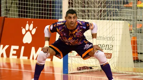 FOTO WEB