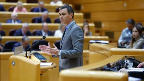 Pedro S&aacute;nchez, en el Senado