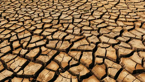 Tierra seca