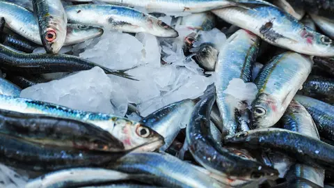 Este a&ntilde;o en el que el pescado no est&aacute; en el mar, est&aacute;... por las nubes