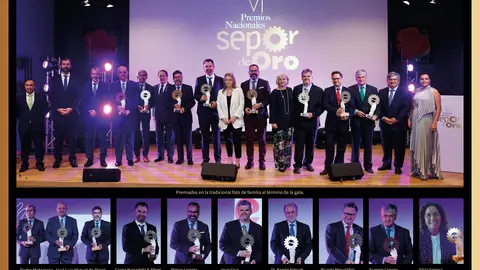 Imagen de los premiados en la gala del la VI Edici&oacute;n de los Premios Nacionales Sepor de Oro. | FOTO: SEPOR DE ORO