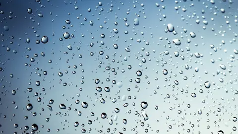 Lluvias