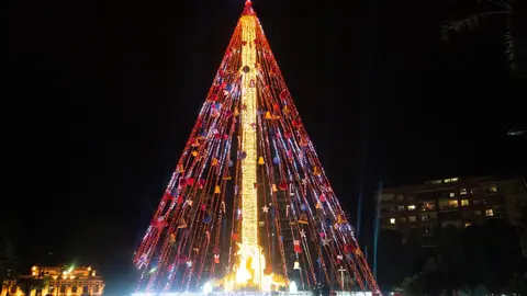 &Aacute;rbol Plaza Circular de Murcia