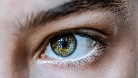 Ojo humano (foto. CESIC)