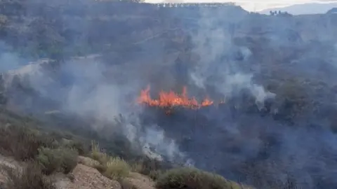 Incendio declarado en el cauce de la rambla de El Tinaj&oacute;n, en Molina de Segura (foto: '1-1-2' Regi&oacute;n de Murcia)