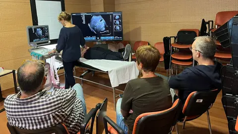 En el curso se han desarrollado aspectos te&oacute;ricos sobre ecograf&iacute;a y su uso en Atenci&oacute;n Primaria (Foto: CARM)