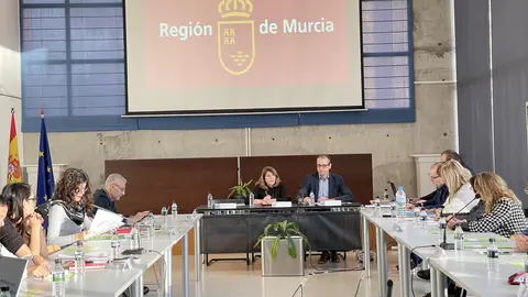 Mesa Sectorial de la Educaci&oacute;n (Foto: CARM)