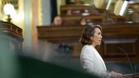 Cuca Gamarra (Foto: Congreso)