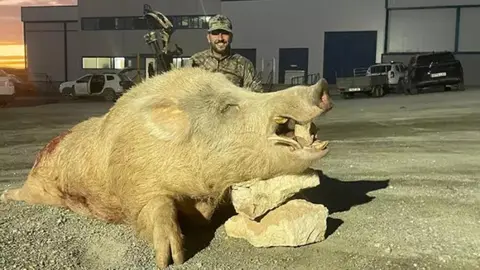 Cazador que abati&oacute; al jabal&iacute;