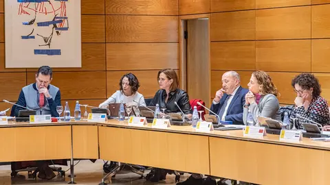 La vicepresidenta y consejera, Isabel Franco, en la reuni&oacute;n del Consejo Territorial de Servicios Sociales y del Sistema para la Autonom&iacute;a y Atenci&oacute;n a la Dependencia que se ha celebrado en Madrid (foto: Regi&oacute;n de Murcia)