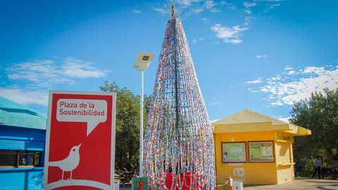 La Universidad de Murcia construye dos &aacute;rboles de Navidad m&aacute;s de 56.000 tapones de pl&aacute;stico