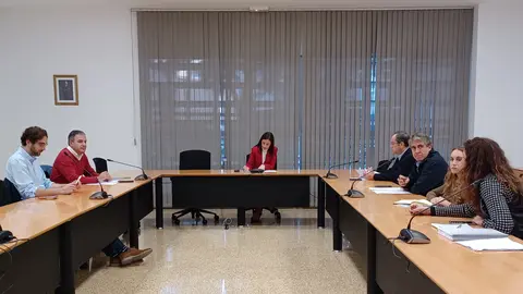 La directora general de Agricultura, Industria Alimentaria y Cooperativismo Agrario, Mar&iacute;a Remedios Garc&iacute;a, reunida con los representantes de Agrupal, Proexport, Apoexpa, Fecoam y Asemuplast (Foto: CARM)