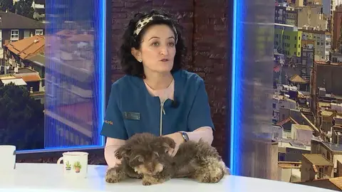 La veterinaria Rosa Mar&iacute;a S&aacute;nchez, del Hospital Veterinario La Flota