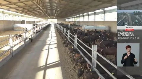 El sector ganadero pide ayuda