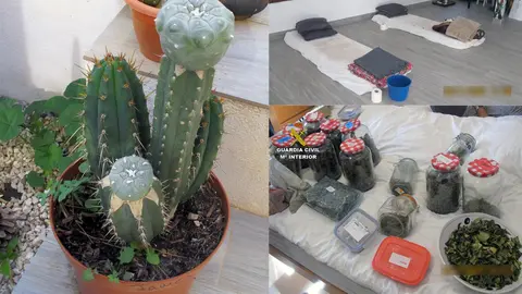 Operaci&oacute;n Kambo de la Guardia Civil
