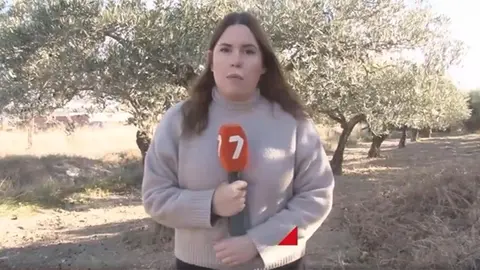 Ana L&oacute;pez informa sobre el aceite de oliva