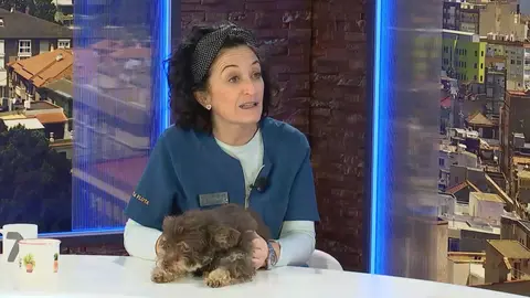 Rosa S&aacute;nchez y Lagun