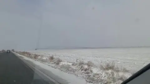 Nevada
