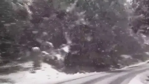 Las nevadas llegan a diferentes puntos de Espa&ntilde;a (foto: La 7)