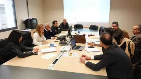 Reuni&oacute;n de la concejala Castej&oacute;n con los representantes de Sabic e Iberdrola