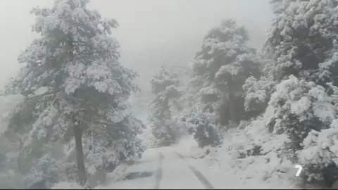 Nieve en Sierra Espu&ntilde;a