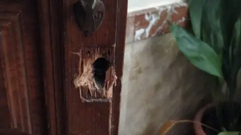 Imagen de la cerradura forzada en una de las iglesias donde se han producido robos (foto: Jenifer &Aacute;lvarez)