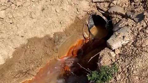 Imagen captada en el marco de la operaci&oacute;n 'Saladilla' (foto: Guardia Civil)