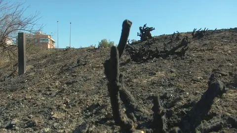 El estado de uno de los solares de Barriomar tras un incendio (foto: La 7)