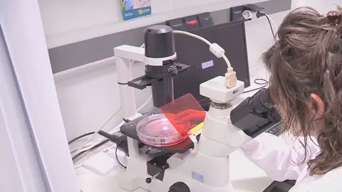 Laboratorio