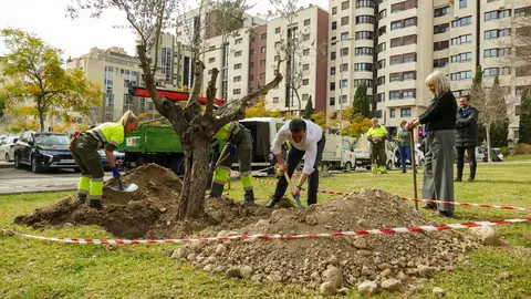 El alcalde Serrano, con una pala en la plantaci&oacute;n de un &aacute;rbol