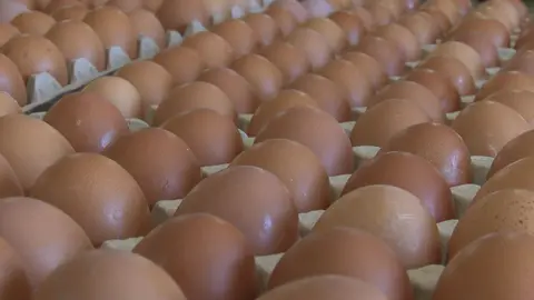 Huevos