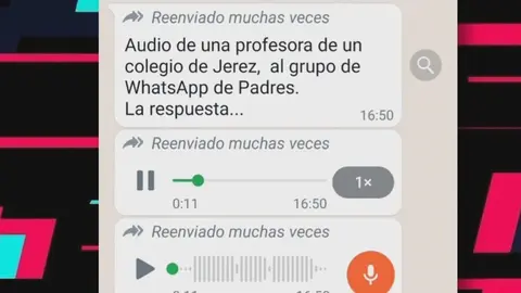 Captura de los audios virales de la profesora de Jerez que propon&iacute;a suprimir el D&iacute;a del Padre (foto: Tik Tok)
