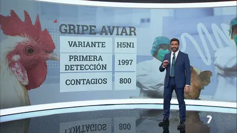 La gripe aviar amenaza a los seres humanos