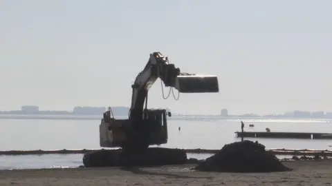 Trabajos de reposici&oacute;n de arena en las playas m&aacute;s afectadas del Mar Menor (foto: La 7)