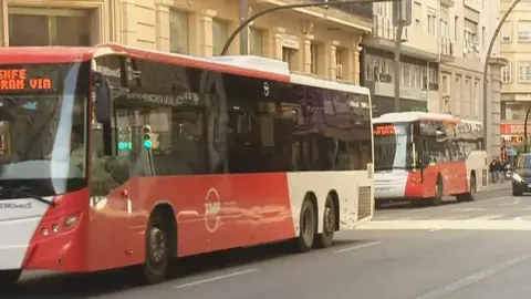 Autobuses urbanos de la ciudad de Murcia (foto: La 7)