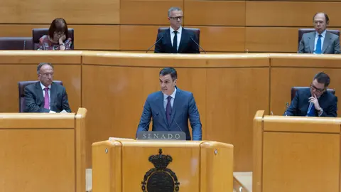 Pedro S&aacute;nchez, en el Senado