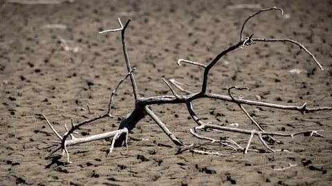 Convocada para el mi&eacute;rcoles 19 de abril la Mesa de la Sequ&iacute;a