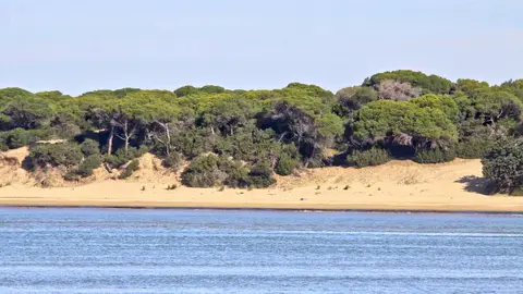 Parque nacional y natural de Do&ntilde;ana