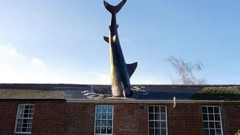 El Tibur&oacute;n de Headington